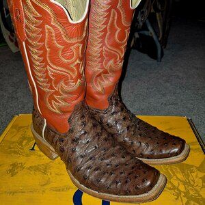 R Watson Tobacco Kango Ostrich
